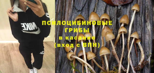 дурь Ахтубинск