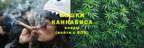 винт Гусь-Хрустальный