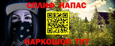 дживик Бийск
