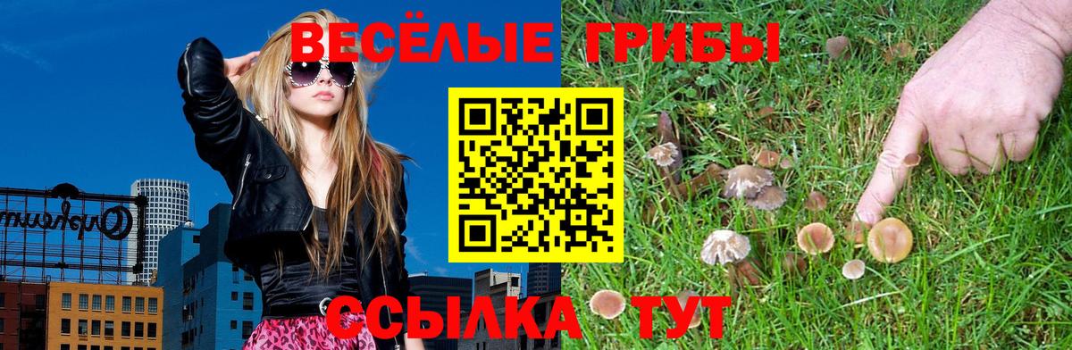 Псилоцибиновые грибы ЛСД  Галлюциногенные грибы прущие грибы  Гагарин 