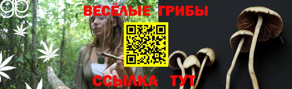Гагарин  Псилоцибиновые грибы Cubensis  Вход с VPN  Псилоцибиновые грибы ЛСД 