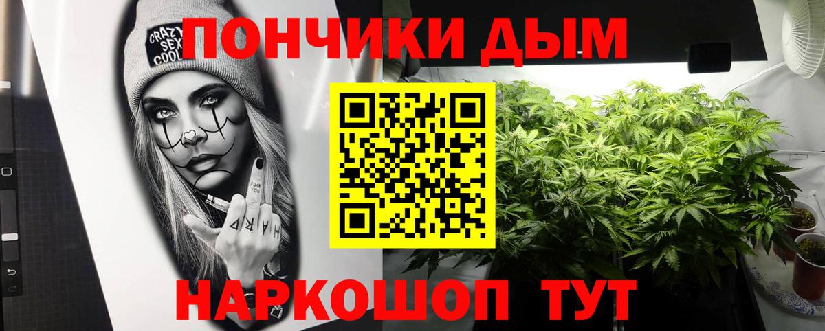 Шишки марихуана ГИДРОПОН  Гагарин  Бошки Шишки Amnesia 